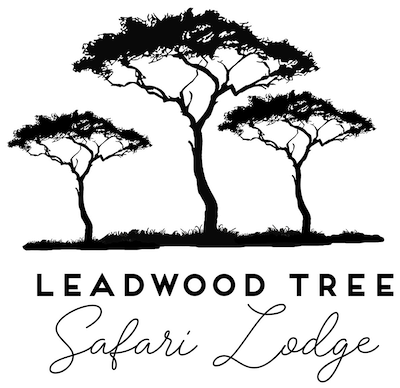 Leadwood Tree Safari Lode - Wildlife Haven Self Cater Lodges